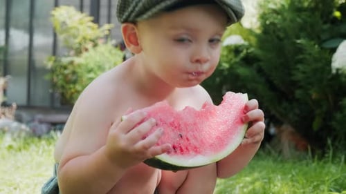 Toddler Eating Watermelon on Summer Lawn