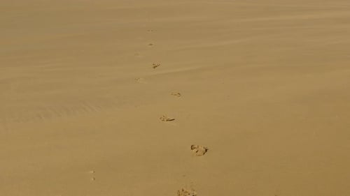 Footprints on a golden sandy beach leading towards isolated coastal waters. PAN UP SHOT.