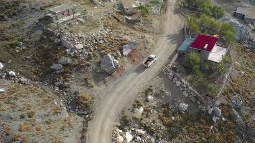 Les agneaux montent en voiture