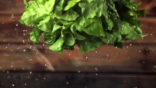 Fresh Lettuce with Water Droplets on Wooden Surface