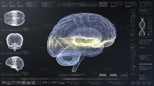 Futuristic Digital Brain Scan HUD Display Medical Interface
