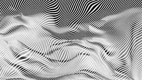 White Zebra Wave Pattern Abstract Background