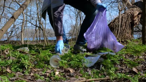 A Volunteer Man Collects Trash in a Plastic Bag in a City Park