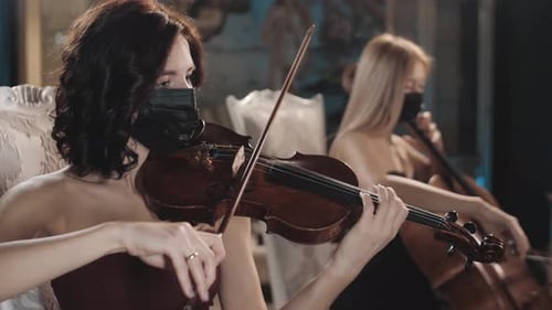 A beautiful girl plays the violin. Duet. The orchestra. Violin and cello.