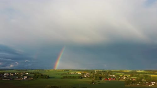 The Rainbow Over Agriculture Landscape Many Fields of Yellow Rapeseed Aerial View 4K