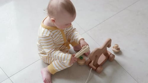 Eco Wood Toy Baby Game