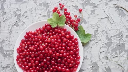Red Currants on a White Plate