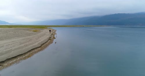 Person Walks Golden Retriever on Lake Beach