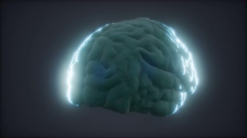 Loop Rotating Human Brain Animation