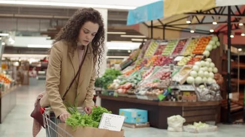 Mulher fazendo compras no mercado