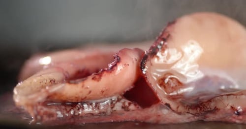 Cooking Fragrant Squid in a Frying Pan at Home.