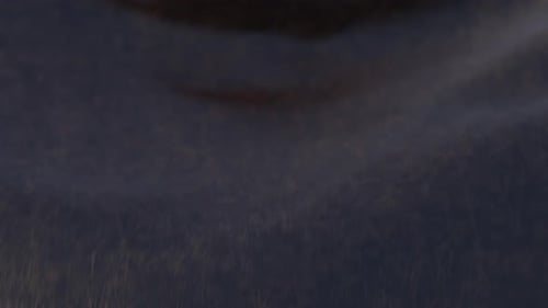 Abstract Dark Wavy Fabric Background Animation