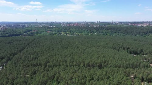 Vol aérien vers la ville au-dessus de la forêt