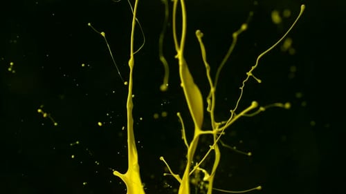 Abstract Yellow Paint Splash on Black Background