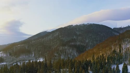 High Snowy Mountain Covered with Evergreen Fir Trees on a Sunny Cold Day