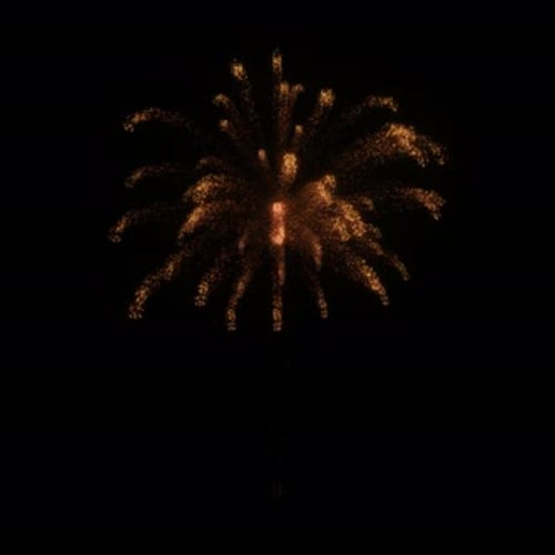 Golden Firework Sparkle Explosion Animation