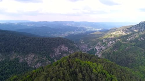Aerial view of pine forests and mountains.