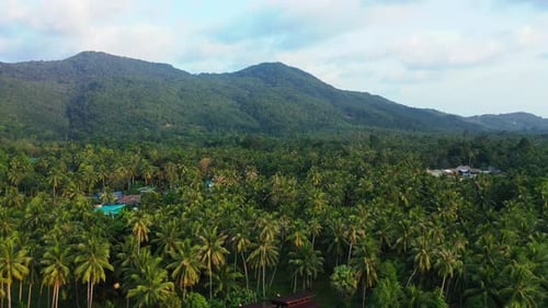Luxury above abstract shot of a white sand paradise beach and blue water background in vibrant