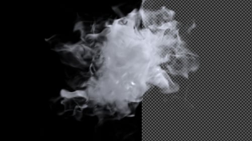 Abstract Smoke Fluid Reveal with Alpha Channel