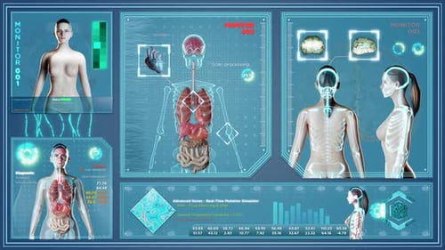 Futuristic X Ray on Female Body