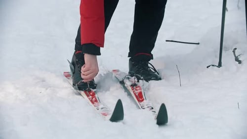 Skiing in the Woods - Putting Boots on the Ski