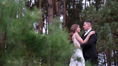 Romantic Couple Embracing in a Forest Setting
