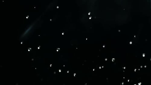 Water Droplets Splashing on a Black Background