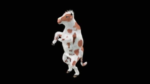 Cute Spotted Calf Dancing Animation Loop