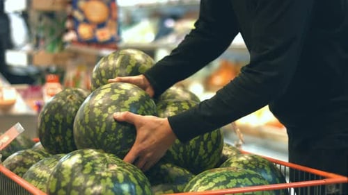 Fruit Box with Watermelons at Supermarket