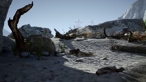 White Sand Beach Near Rocky Cliffs at Ocean