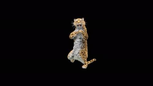 Leoparden-Tanzen 4K