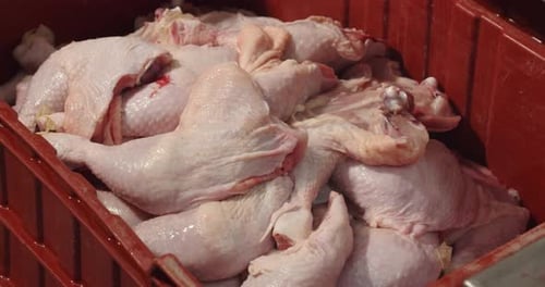 In A Large Container Chicken Thighs