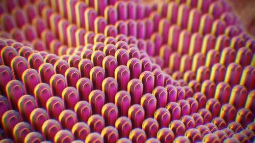 Une animation 3D abstraite bouclable d'objets en mouvement dans un environnement indéfini.
HD