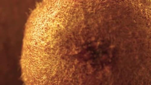 Close Up of Sliced Green Kiwi Fruit