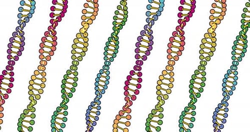 Colorful Sketchy DNA Helix Science Background Loop