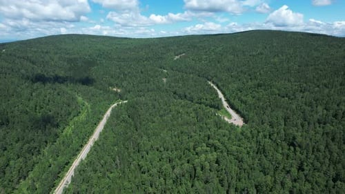Winding Road in the West Siberian Taiga Ecoregion