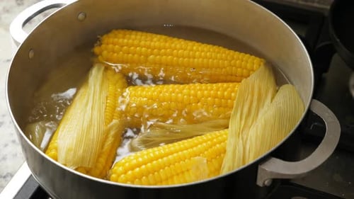 Corn on the Cob Boiling in Kitchen Pot