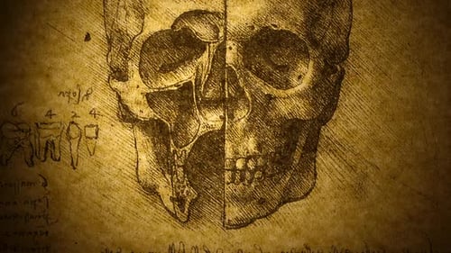 Anatomy Art Drawing