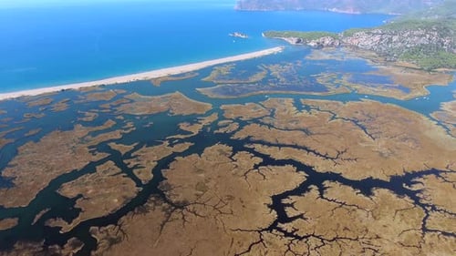 Aerial Swamp Wetland and Lake Next to Reed Delta by Sea