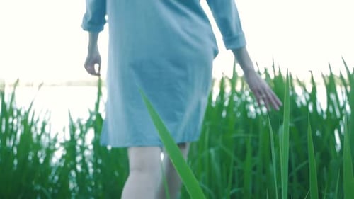 a girl walks along a small wooden bridge by the lake in the reeds