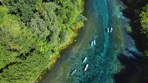 Commercial tourist tour along the rivers and lakes of protected area in summer.