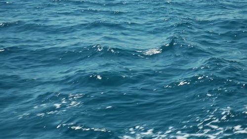 Die blauen Wellen