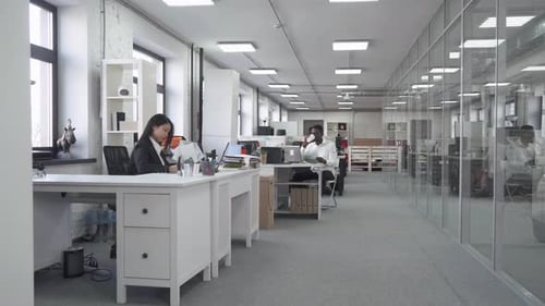 Modern International Office, Office Workers and Managers Working at Computers and Work with