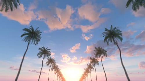Tropical Palm Trees During Sunrise Looping Animation