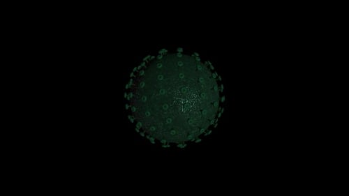 Coronavirus