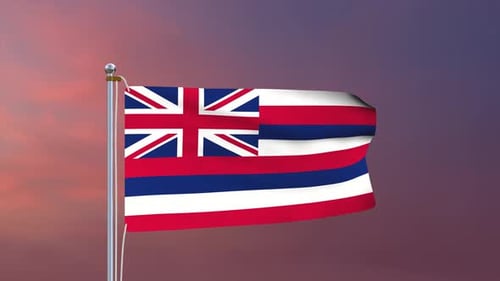 Realistic Waving Hawaii State Flag Animation