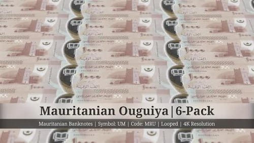 Mauritanian Ouguiya | Mauritania Currency - 6 Pack | 4K Resolution | Looped