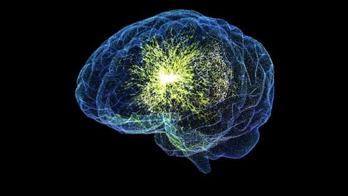 Digital Human Brain with Glowing Neural Network Animation