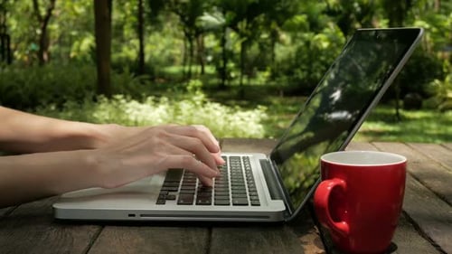 Arbeiten am Computer im Park