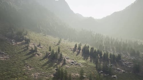 Mountain Range with Valley and Forest